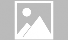 狼和兔漫画,智慧与勇气的对决