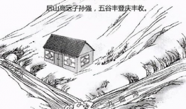 漫画池塘,自然生态的生动画卷